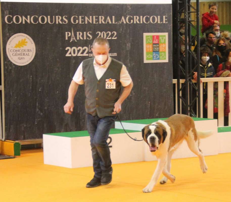 Concours Agricole Salon De Lagriculture